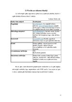 Referāts 'Uzņēmuma "X" finanšu analīze', 11.