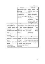 Referāts 'Uzņēmuma "X" finanšu analīze', 12.