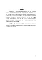 Referāts 'Menedžmenta teorijas analīze filmā "The Terminal"', 3.