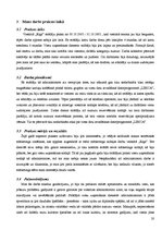 Prakses atskaite 'Viesnīcas "Rīga" mārketinga nodaļa', 20.