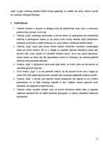 Prakses atskaite 'Viesnīcas "Rīga" mārketinga nodaļa', 22.