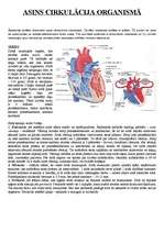 Konspekts 'Asinsrite un limfrite. Ar to saistītās slimības. Sirds. Imunitāte', 1.