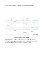 Konspekts 'Lēmumu analīzes metodes lēmuma koki', 6.