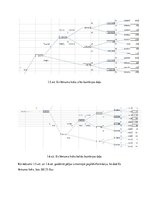 Konspekts 'Lēmumu analīzes metodes lēmuma koki', 8.