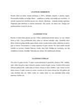 Prakses atskaite 'Akadēmiskā slimības vēsture', 3.