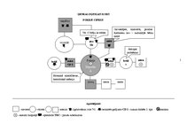 Prakses atskaite 'Akadēmiskā slimības vēsture', 15.