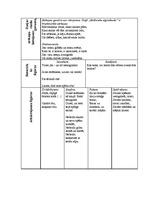 Konspekts 'A.Čaka poēmas "Mūžības skartie" analīze pēc mākslinieciskās izteiksmes līdzekļie', 2.