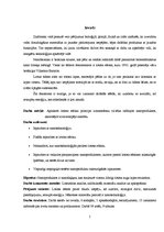 Referāts 'Lotosa efekts', 5.