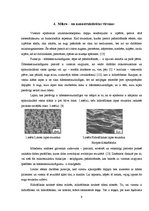 Referāts 'Lotosa efekts', 9.