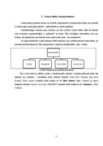 Referāts 'Lotosa efekts', 11.