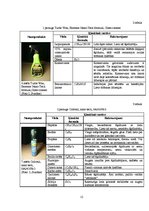 Referāts 'Lotosa efekts', 12.