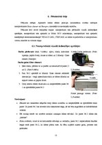 Referāts 'Lotosa efekts', 13.