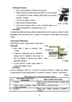 Referāts 'Lotosa efekts', 14.