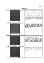 Referāts 'Lotosa efekts', 20.