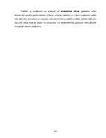 Prakses atskaite 'Prakses pārskats mēbeļu veikalā', 415.