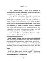 Referāts 'Valsts pārvaldes iestādes jēdziens', 3.