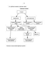 Konspekts 'Finanšu grāmatvedību regulējošo likumu un to pamatprasību raksturojums', 36.