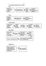 Konspekts 'Finanšu grāmatvedību regulējošo likumu un to pamatprasību raksturojums', 41.