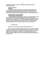 Konspekts 'Finanšu grāmatvedību regulējošo likumu un to pamatprasību raksturojums', 43.