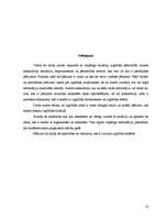 Referāts 'Izglītības pētījumi Latvijā', 13.