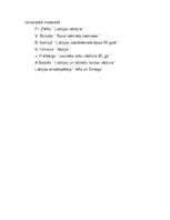 Referāts 'Demokrātiskā republika Latvijā', 8.