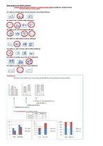 Paraugs 'Grafiskie attēli, relatīvie lielumi', 17.
