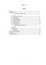 Referāts 'Enerģijas piegāde un izmantošana', 2.