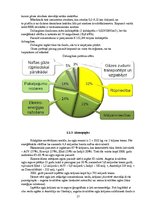 Referāts 'Enerģijas piegāde un izmantošana', 17.