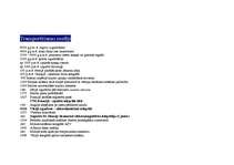 Konspekts 'Svarīgākie notikumi un izgudrojumi komunikācijas vēsturē', 4.