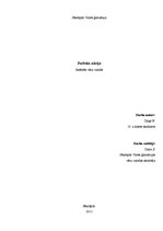 Referāts 'Vācieši - futbola nācija', 1.