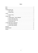 Referāts 'Vācieši - futbola nācija', 2.