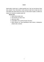 Referāts 'Vācieši - futbola nācija', 3.