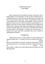 Referāts 'Vācieši - futbola nācija', 4.