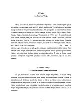 Referāts 'Vācieši - futbola nācija', 5.