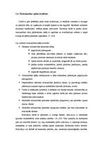 Referāts 'SIA "Liepājas Gardums" mārketinga stratēģijas izstrāde', 11.