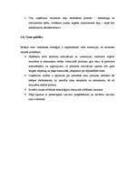 Referāts 'SIA "Liepājas Gardums" mārketinga stratēģijas izstrāde', 15.