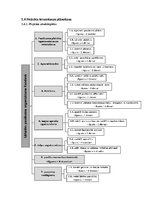 Paraugs 'Izklaides pasākuma organizēšana', 11.