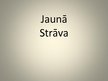 Prezentācija 'Jaunā strāva', 1.