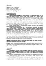 Konspekts 'Aizvēsture', 1.