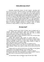 Referāts 'Zirgi', 2.