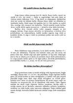 Referāts 'Zirgi', 4.