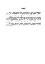 Referāts 'Zirgi', 21.