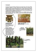 Referāts 'Acteki', 4.