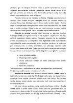 Eseja 'Kredīta formas un veidi', 8.