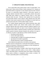 Prakses atskaite 'Prakses pārskats grāmatvedībā', 7.