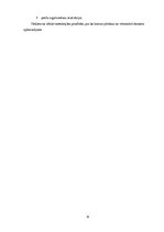 Prakses atskaite 'Prakses pārskats grāmatvedībā', 21.