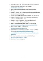 Prakses atskaite 'Prakses pārskats grāmatvedībā', 41.