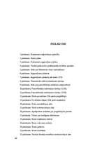 Prakses atskaite 'Prakses pārskats grāmatvedībā', 42.