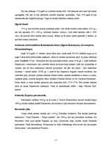 Referāts 'Varšava', 17.