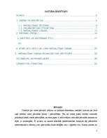 Referāts 'Darba organizācija pašvaldībā', 2.